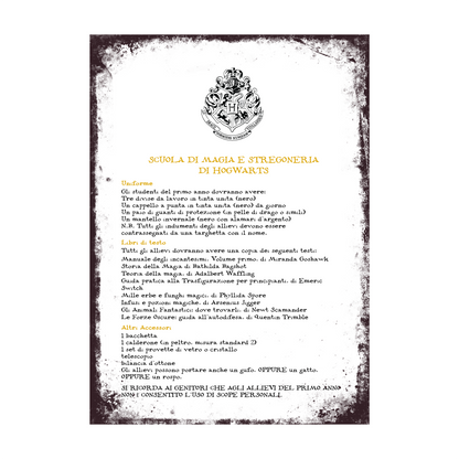 LETTERA PERONALIZZATA ACCETTAZIONE HOGWARTS